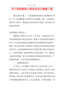 关于挂职锻炼心得体会范文精编5篇