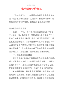 党小组会评价意见