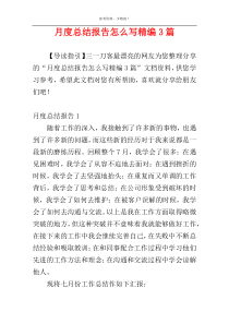 月度总结报告怎么写精编3篇