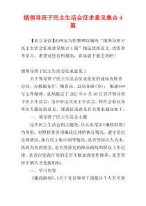 镇领导班子民主生活会征求意见集合4篇