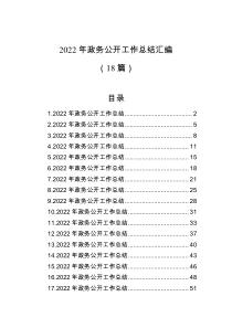 18篇2022年政务公开工作总结汇编