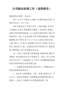 公司副总经理工作（述职报告）