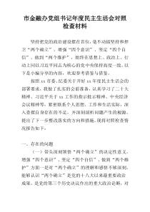 市金融办党组书记年度民主生活会对照检查材料