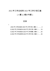 2022年工作总结和2023年工作计划汇编4篇镇乡专题