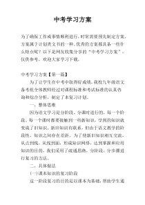 中考学习方案