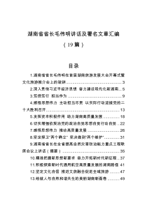 19篇湖南省省长毛伟明讲话及署名文章汇编