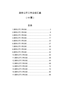 40篇政务公开工作总结汇编