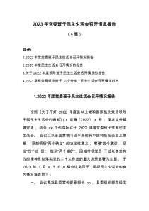 4篇2023年党委班子民主生活会召开情况报告