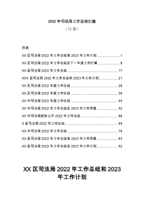 12篇2022年司法局工作总结汇编