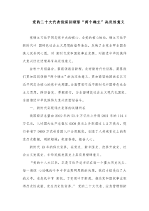 二十大心得体会材料党的二十大代表谈深刻领悟两个确立决定性意义