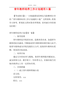 青年教师培养工作计划通用5篇