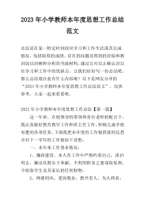 2023年小学教师本年度思想工作总结范文