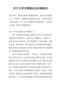 关于大学生寒假社会实践报告