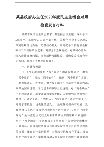 某县政府办主任2023年度民主生活会对照检查发言材料