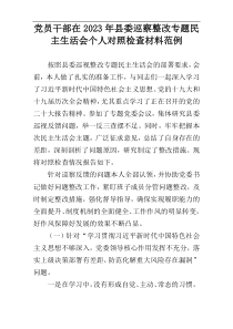 党员干部在2023年县委巡察整改专题民主生活会个人对照检查材料范例