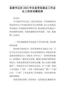 县委书记在2023年全县劳务就业工作会议上的讲话稿范例