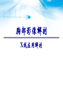 胸部X线解剖_自我管理与提升_求职职场_实用文档