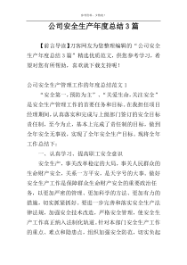 公司安全生产年度总结3篇