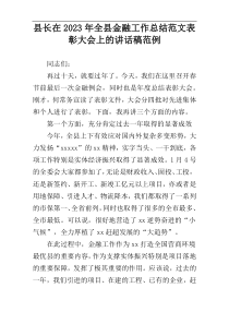 县长在2023年全县金融工作总结范文表彰大会上的讲话稿范例