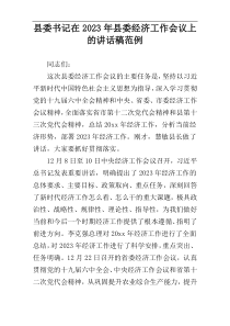 县委书记在2023年县委经济工作会议上的讲话稿范例