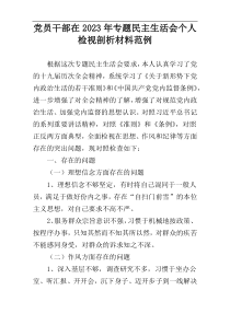 党员干部在2023年专题民主生活会个人检视剖析材料范例