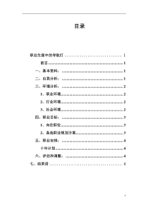 计算机的职业生涯规划