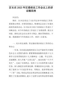 区长在2023年区委政法工作会议上的讲话稿范例