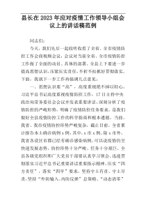 县长在2023年应对疫情工作领导小组会议上的讲话稿范例