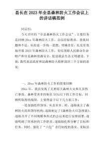 县长在2023年全县森林防火工作会议上的讲话稿范例