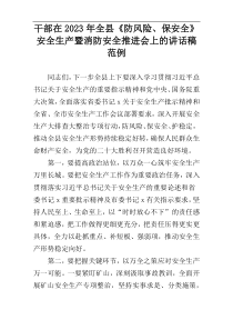 干部在2023年全县《防风险、保安全》安全生产暨消防安全推进会上的讲话稿范例