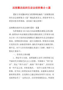 巡视整改组织生活会剖析集合4篇