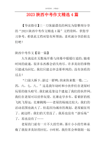 2023陕西中考作文精选4篇