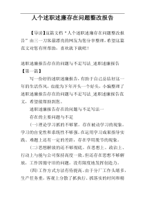 人个述职述廉存在问题整改报告