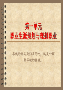 面向未来的职业生涯规划（PPT52页)