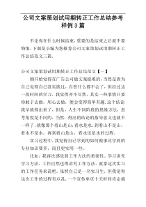 公司文案策划试用期转正工作总结参考样例3篇