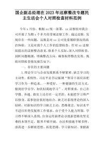 国企副总经理在2023年巡察整改专题民主生活会个人对照检查材料范例