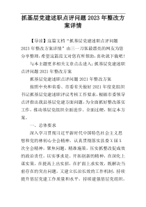 抓基层党建述职点评问题2023年整改方案详情