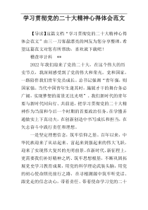 学习贯彻党的二十大精神心得体会范文