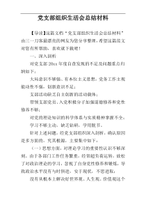 党支部组织生活会总结材料