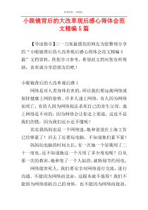 小眼镜背后的大改革观后感心得体会范文精编5篇