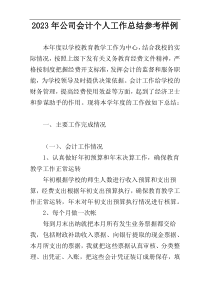 2023年公司会计个人工作总结参考样例