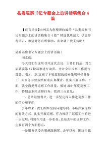 县委巡察书记专题会上的讲话稿集合4篇