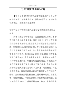 分公司营销总结4篇