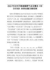 2023年全市开展城镇燃气安全整治《百日行动》具体实施方案范例