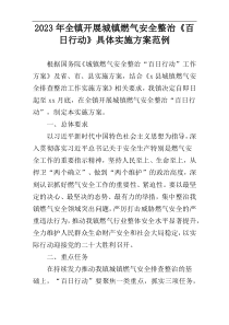 2023年全镇开展城镇燃气安全整治《百日行动》具体实施方案范例