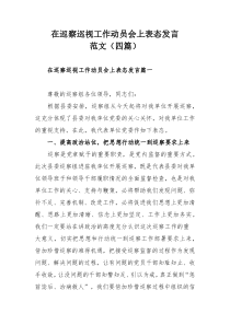 在巡察巡视工作动员会上表态发言范文（四篇）