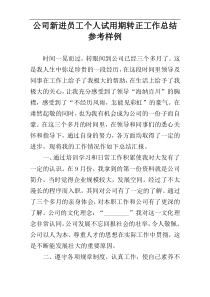 公司新进员工个人试用期转正工作总结参考样例