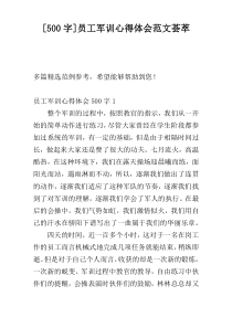 [500字]员工军训心得体会范文荟萃