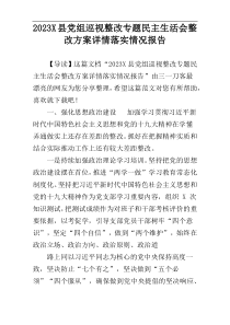 2023X县党组巡视整改专题民主生活会整改方案详情落实情况报告