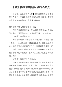 【精】教师远程研修心得体会范文